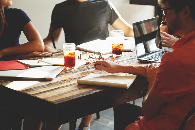 Professional Boardroom Governance